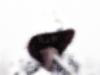 madrizzico's Avatar